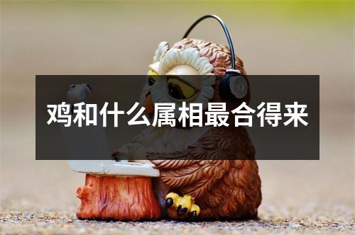 鸡和什么属相最合得来