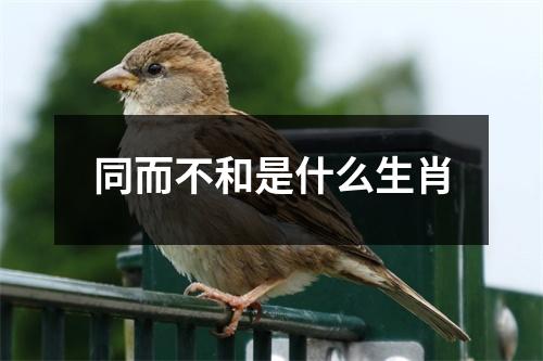 同而不和是什么生肖