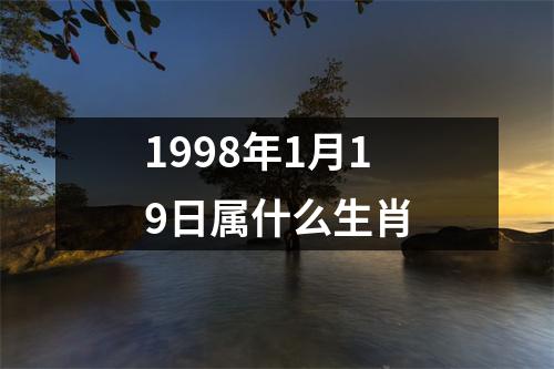 1998年1月19日属什么生肖