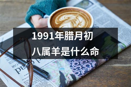 1991年腊月初八属羊是什么命