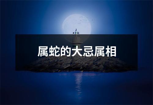 属蛇的大忌属相
