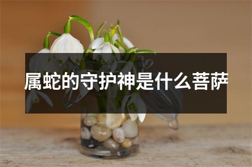 属蛇的守护神是什么菩萨
