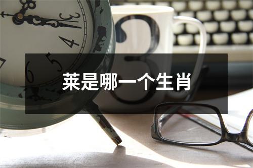 莱是哪一个生肖
