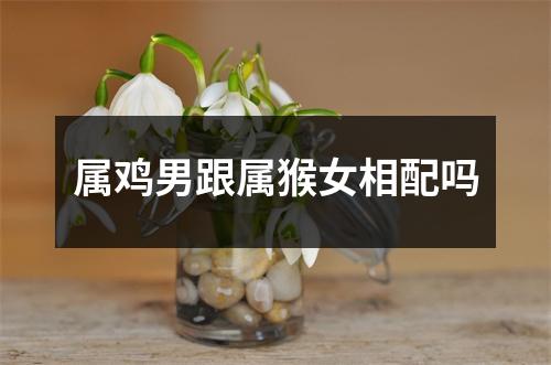属鸡男跟属猴女相配吗
