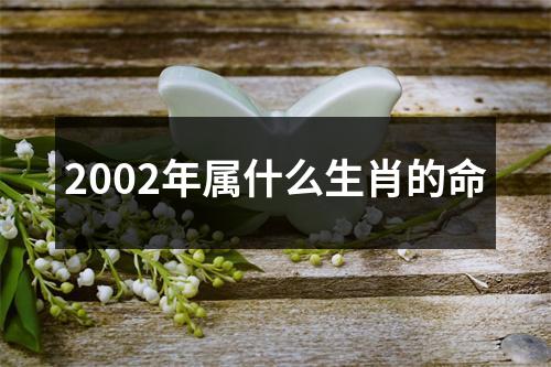 2002年属什么生肖的命