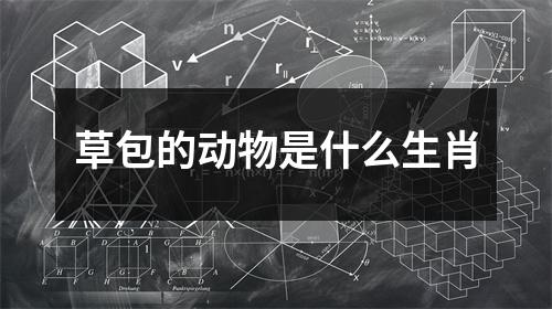 草包的动物是什么生肖