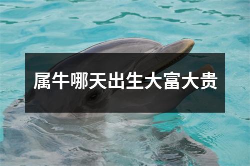属牛哪天出生大富大贵