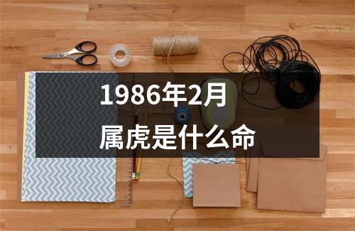 1986年2月属虎是什么命