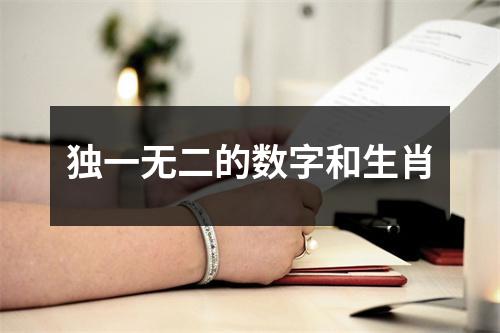 独一无二的数字和生肖