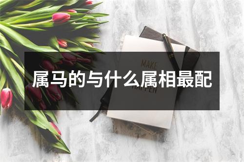属马的与什么属相最配