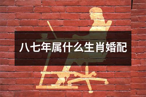 八七年属什么生肖婚配