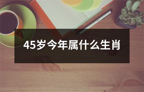 45岁今年属什么生肖
