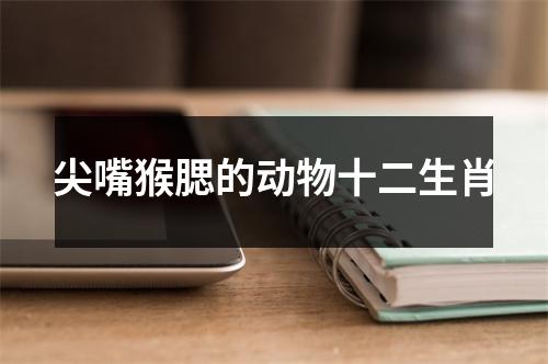 尖嘴猴腮的动物十二生肖