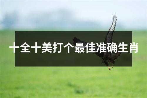 十全十美打个最佳准确生肖