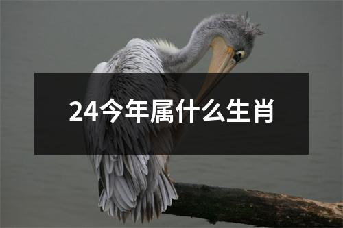 24今年属什么生肖