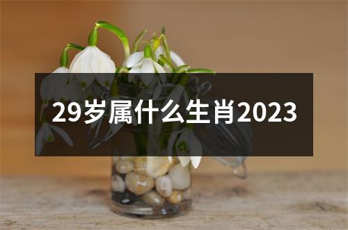 29岁属什么生肖2023