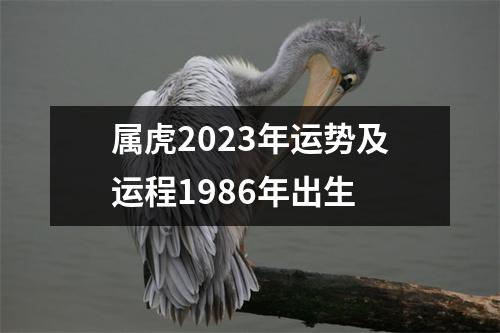 属虎2023年运势及运程1986年出生