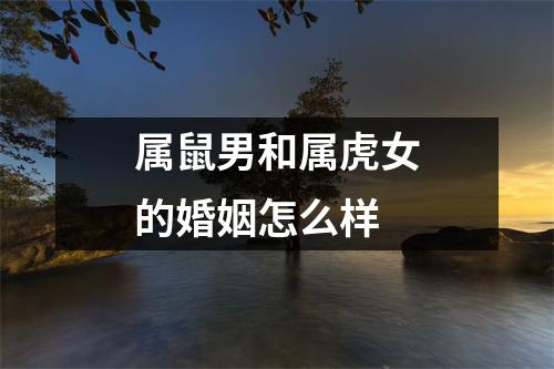 属鼠男和属虎女的婚姻怎么样
