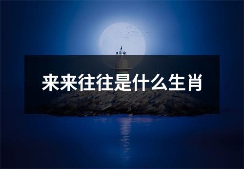 来来往往是什么生肖