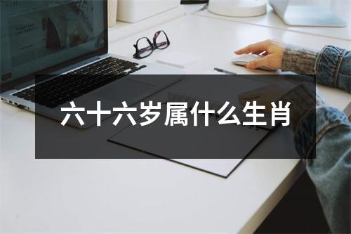 六十六岁属什么生肖