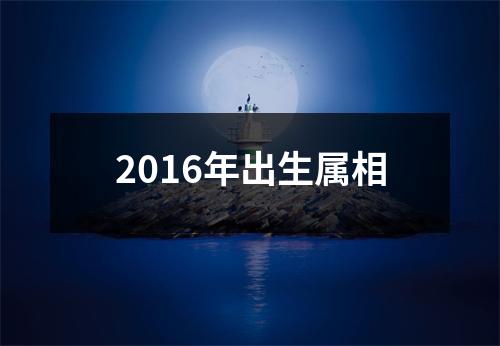 2016年出生属相