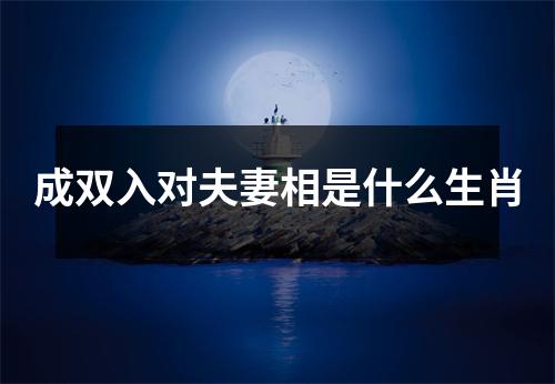 成双入对夫妻相是什么生肖