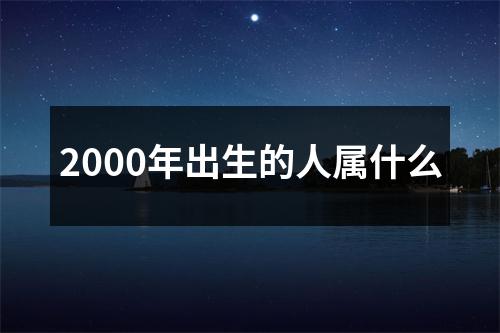 2000年出生的人属什么