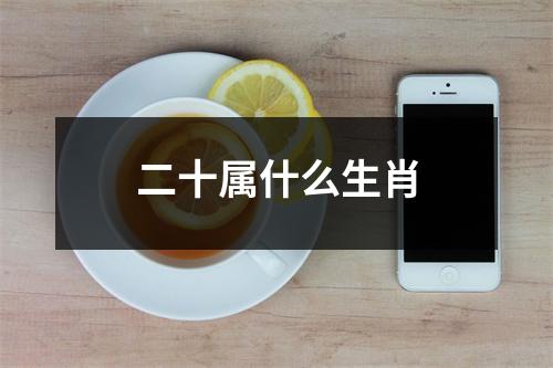 二十属什么生肖
