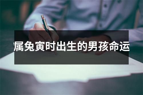 属兔寅时出生的男孩命运