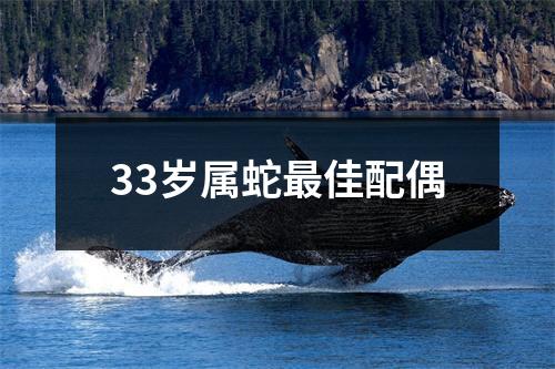 33岁属蛇最佳配偶