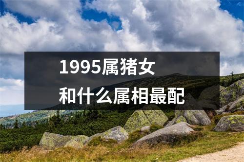 1995属猪女和什么属相最配