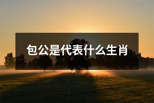 包公是代表什么生肖