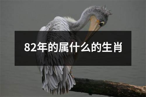 82年的属什么的生肖