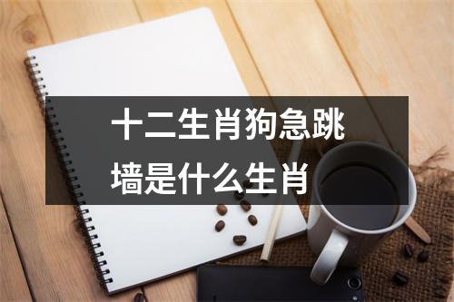 十二生肖狗急跳墙是什么生肖