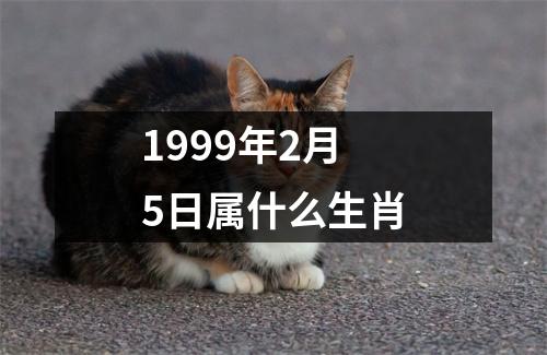 1999年2月5日属什么生肖