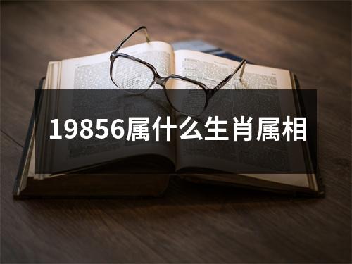 19856属什么生肖属相