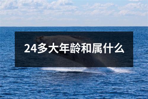 24多大年龄和属什么