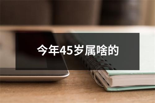 今年45岁属啥的