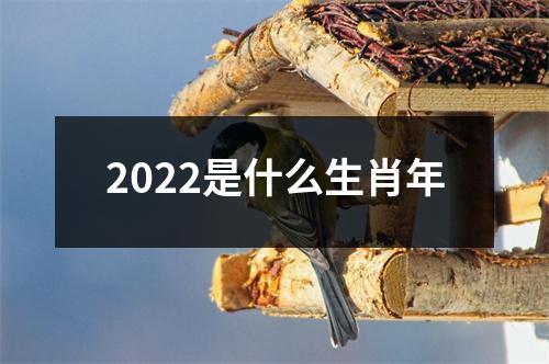 2022是什么生肖年