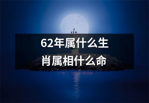 62年属什么生肖属相什么命