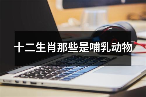 十二生肖那些是哺乳动物
