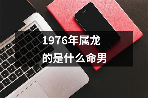 1976年属龙的是什么命男