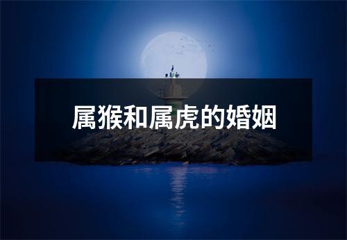 属猴和属虎的婚姻