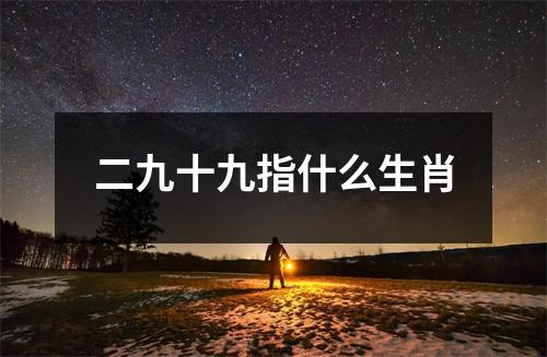 二九十九指什么生肖
