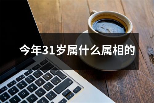 今年31岁属什么属相的
