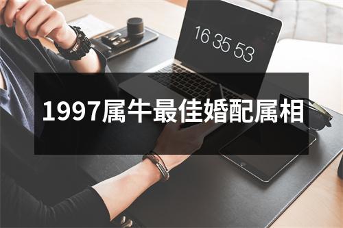1997属牛最佳婚配属相