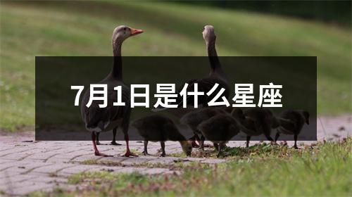 7月1日是什么星座