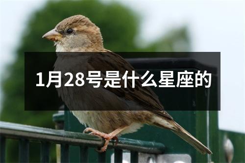 1月28号是什么星座的