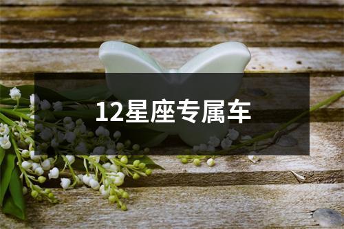 12星座专属车