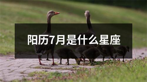 阳历7月是什么星座